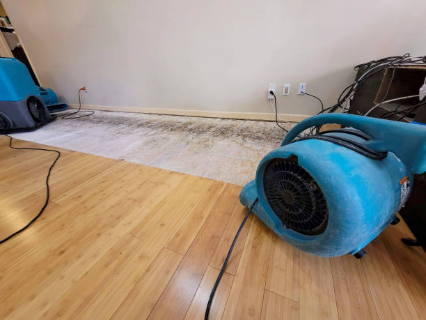 Reliable Basement Flood Cleanup contractor in Lincoln, ID by Hirex Water Damage