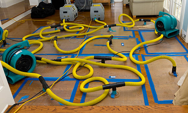 Professional Basement Flood Cleanup technician working in Lincoln, ID